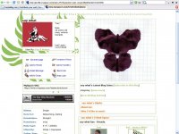 Get layout code