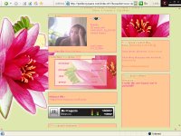 Get layout code